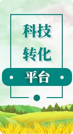 正文适合核对表述