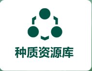 再进入全文