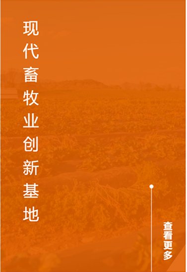 列表适合快速定位