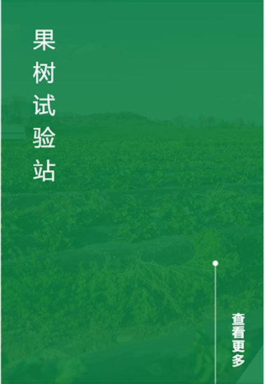 正文适合核对表述