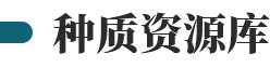 相关阅读两者都保留在站内即可形成完整