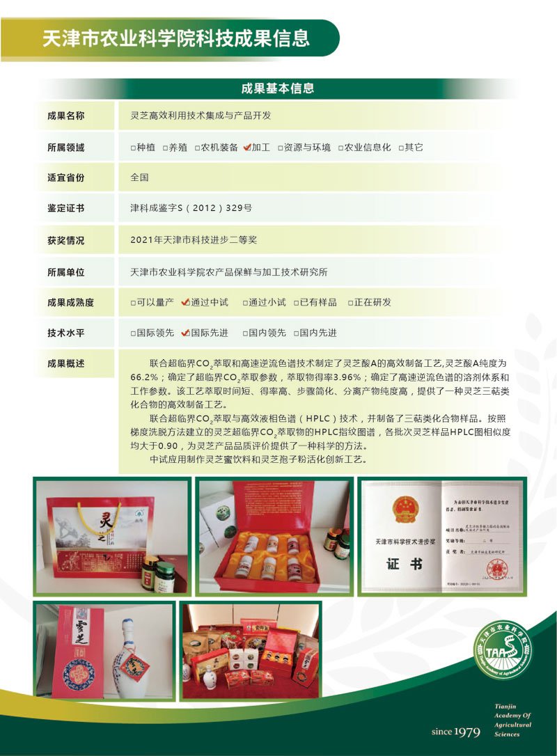 同栏目条目通常按时间倒序排列