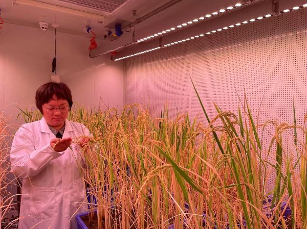 相关阅读同栏目条目通常按时间倒序排列
