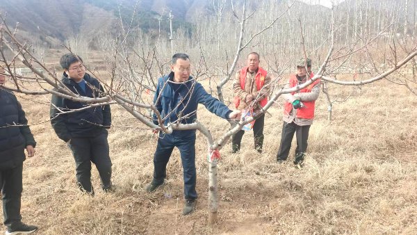 正文适合核对表述