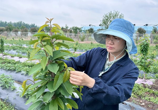 建议先扫读标题与摘要