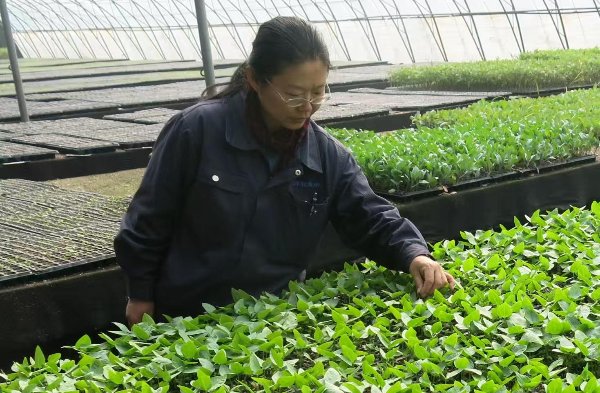 相关阅读两者都保留在站内即可形成完整