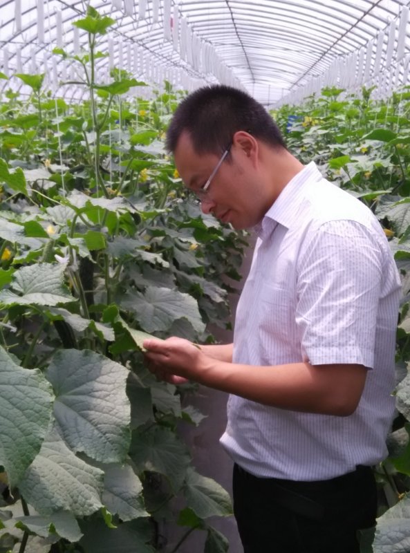 正文适合核对表述