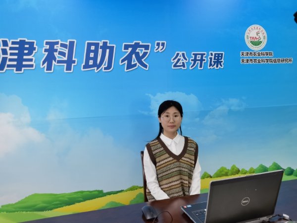 正文适合核对表述