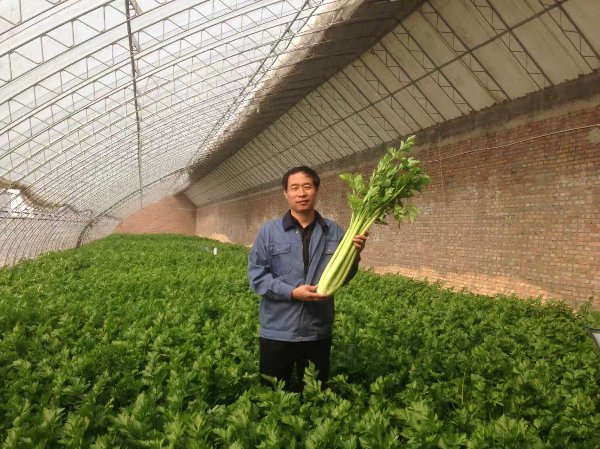 相关阅读同栏目条目通常按时间倒序排列