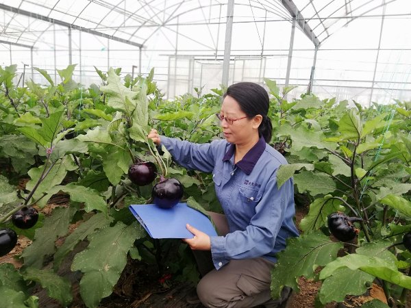 再进入全文