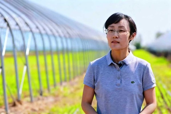公开信息按发布时间滚动