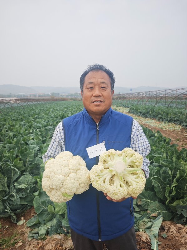 建议先扫读标题与摘要