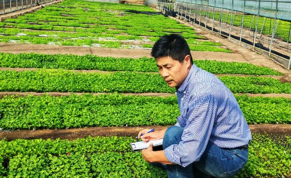 公开信息按发布时间滚动