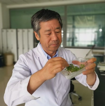 再进入全文