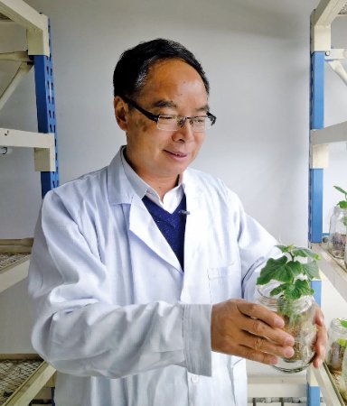 相关阅读两者都保留在站内即可形成完整
