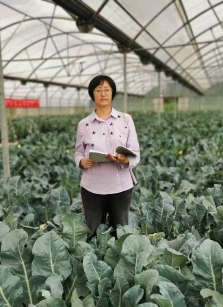 亚虎888电子游戏