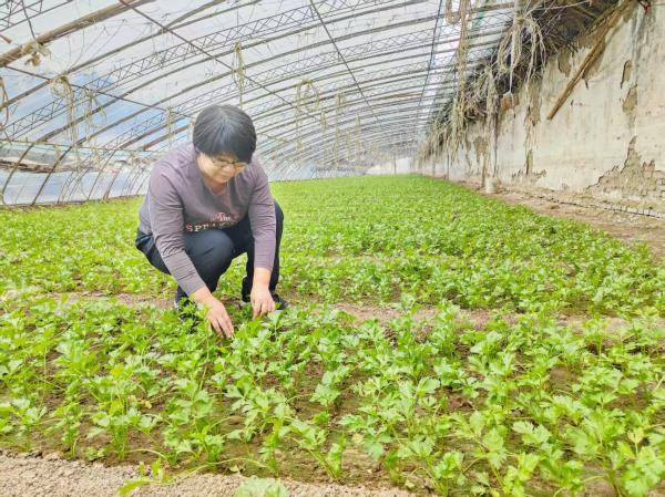 同题参见阅读「亚虎电子娱乐官网帮助中