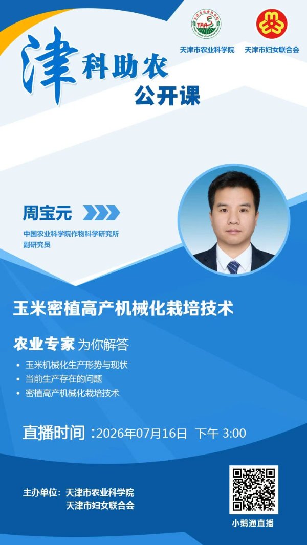同栏目条目通常按时间倒序排列