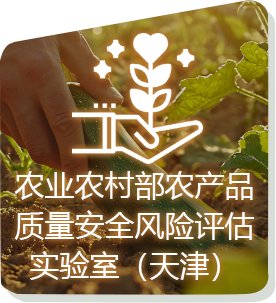 院情概况 / 党建文明 / 人才队伍