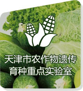 同题参见阅读「亚虎电子娱乐活动入口」