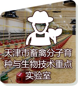 可回到列表或查看相邻条目