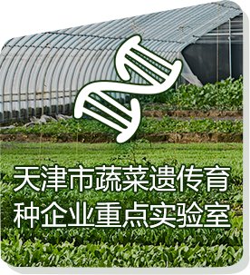 亚虎888电子游戏